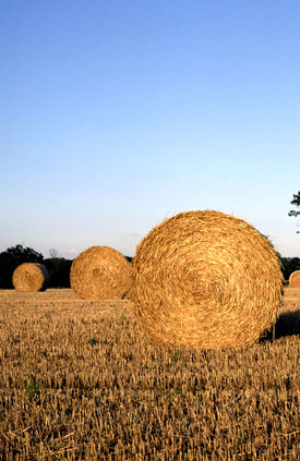 Hay Bales